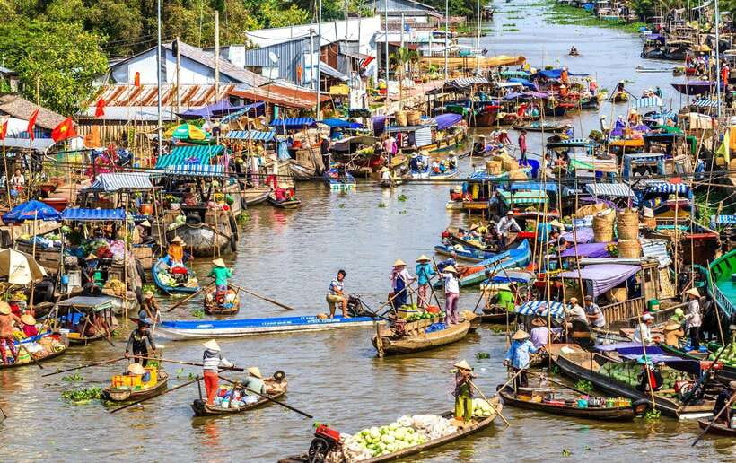 Ho Chi Minh City: Cai Rang Floating Market in Can Tho Tour - Son Islet on the Hau River: fish farms, fruit picking, and the monkey bridge