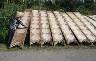 Ho Chi Minh City: Cai Rang Floating Market in Can Tho Tour - Hu Tieu workshop and pineapple on the way: snack-to-meaning