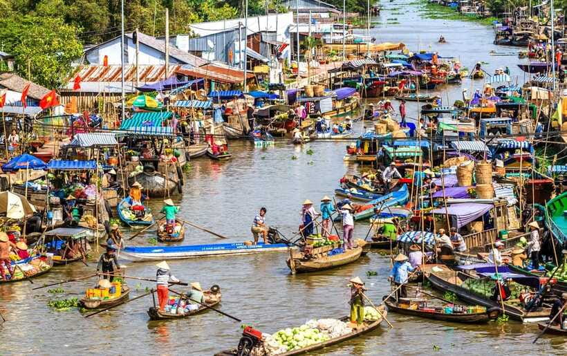 Ho Chi Minh City: Cai Rang Floating Market in Can Tho Tour - Watching snakehead fish performances and making pop rice