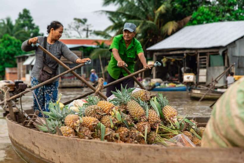 Ho Chi Minh City: Cai Rang Floating Market in Can Tho Tour - Practical tips to make the day feel easy