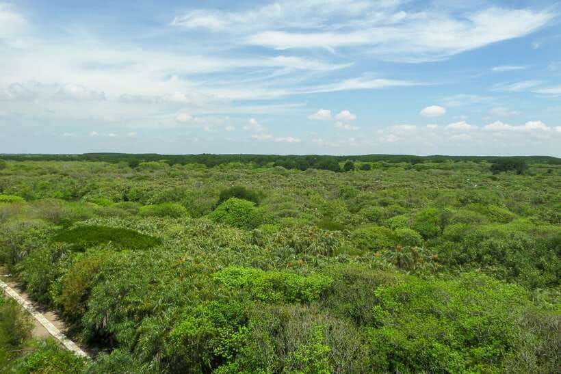 Ho Chi Minh City: Can Gio Eco Escape And Wildlife Discovery - Rung Sac Guerrilla Base: when the tour turns historical