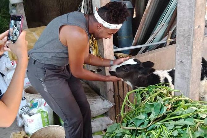 Ho Chi Minh City Full-Day Farm trip with Healthy Cooking Class - Lunch and coffee/tea: eating with context, not just hunger