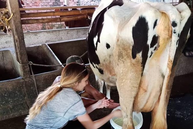 Ho Chi Minh City Full-Day Farm trip with Healthy Cooking Class - Who should book this full-day farm-to-table cooking class?