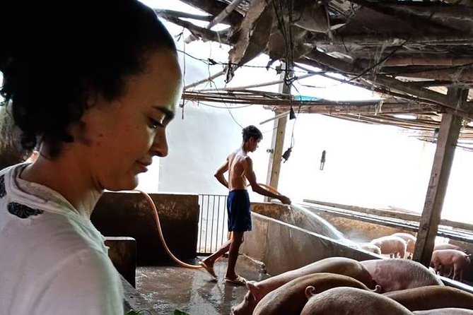Ho Chi Minh City Full-Day Farm trip with Healthy Cooking Class - Rice paper and farm ingredients: seeing the basics behind Vietnamese comfort food