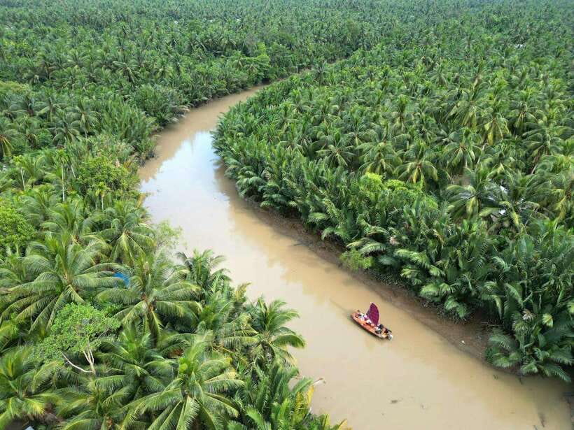 Ho Chi Minh City: Mekong Delta Day Trip with Lunch & Drinks - From District 1 pickup to Ben Tre: what the day actually feels like