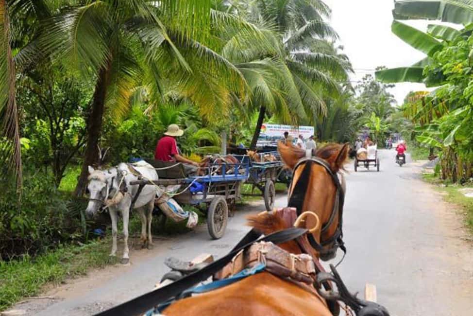 Ho Chi Minh Daily Tour: Full Day Mekong Delta (Private tour) - Price and value: what $48 per person buys you