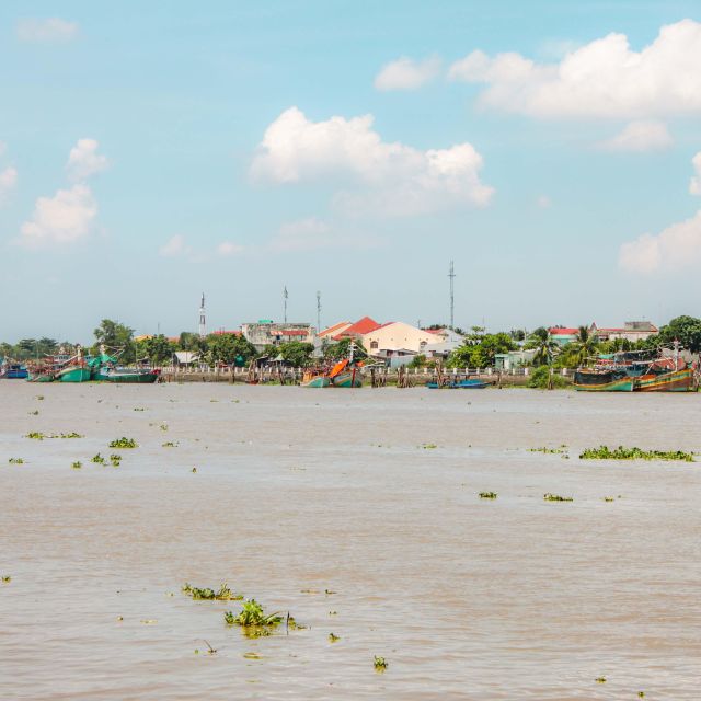 Ho Chi Minh: Mekong River Islands Private Excursion - Tortoise Islet lunch: local food in a riverside setting