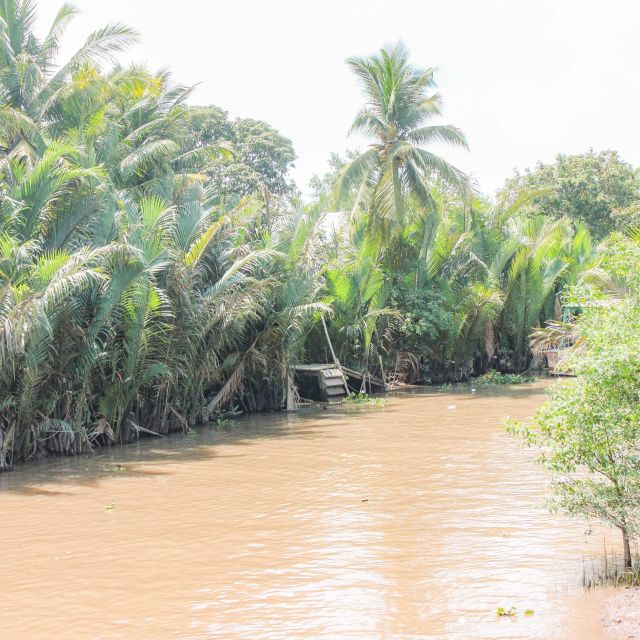 Ho Chi Minh: Mekong River Islands Private Excursion - An Khanh by sampan: rowing under coconut shade