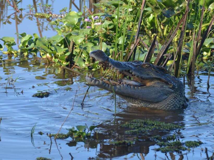 Ho Chi Minh to Cat Tien National Park – Dalat (3 days) - Day 2: 10 km jungle cycling and the Crocodile Lake hike