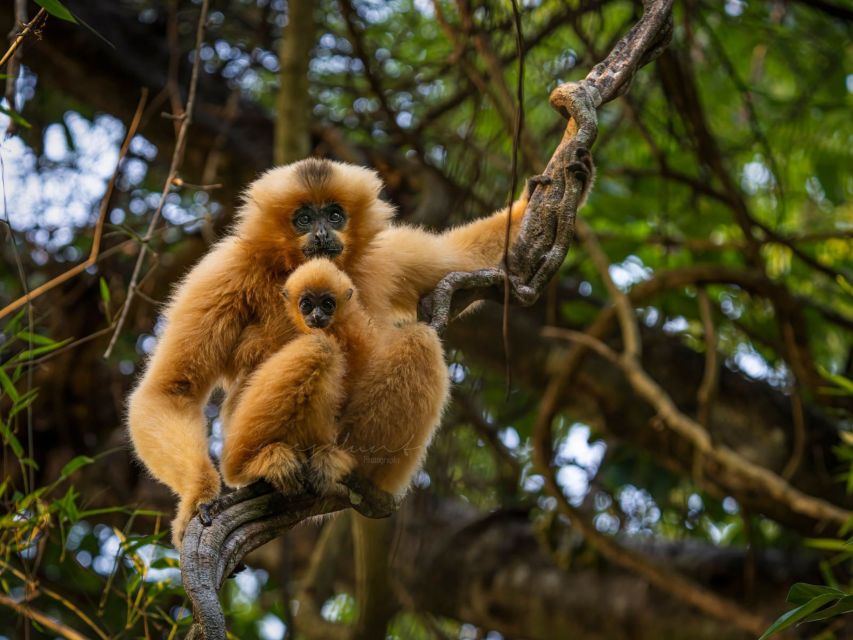 Ho Chi Minh to Cat Tien National Park – Dalat (3 days) - Day 3: Cycling back to the gate, then coffee stops to Dalat waterfalls