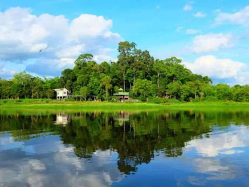 Ho Chi Minh to Cat Tien National Park – Dalat (3 days) - Night safari: how to make the most of it without rushing