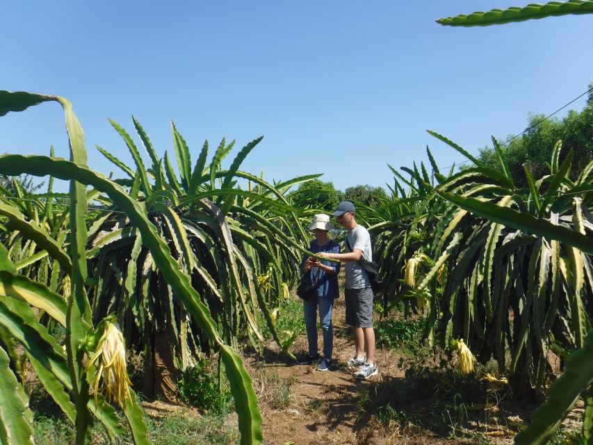 Ho Coc Beach, Nature Reserve & Dragon Fruit Farm Day Tour - Ho Coc Beach and the private resort beach ticket