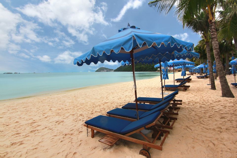 Ho Coc Beach, Nature Reserve & Dragon Fruit Farm Day Tour - Who this tour is best for