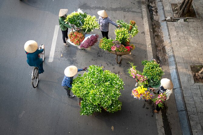 Images of Vietnam In 11 Days - Departure from Ho Chi Minh City - Day 6: Hoi An by bicycle—fields, shrimp farms, and Tra Que area time