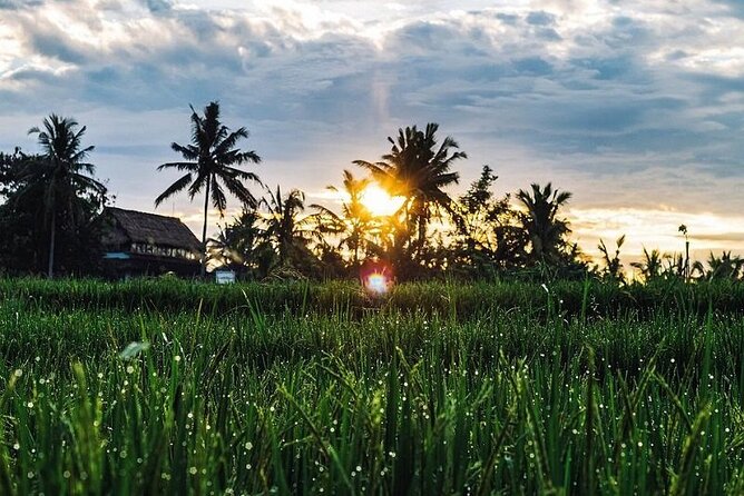 LUXURY Mekong 2 Days 1 Night SMALL GROUP Stay at Tiny Homestay with BBQ Dinner - BBQ dinner and campfire night: how the homestay experience really lands