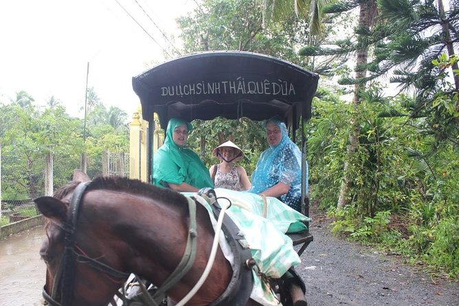 Mekong Delta Adventure by Private Car from Phu My Port - Getting to My Tho or Ben Tre: What the Region Choice Means