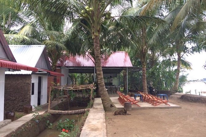 Mekong Delta Tour with Kayaking, Cycling and Cooking - Cồn Phụng river time: motorboats, sampan canals, and kayaking views