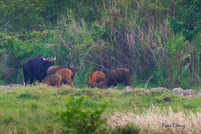 Nam Cat Tien National Park 2-Day Tour with Lodging, Meals.. - Day 1: lava tubes, old forest, and the quiet power of a former volcano