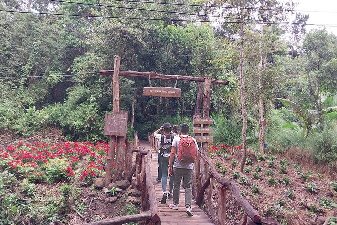 Nam Cat Tien National Park 2-Day Tour with Lodging, Meals.. - Where you sleep: lodge comfort plus jungle atmosphere