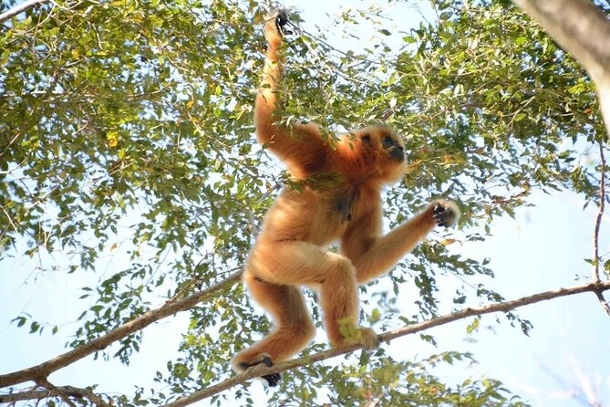 Nam Cat Tien National Park 2 Days 1 Night - Private Tour - Price and logistics: is $315 per person worth it?