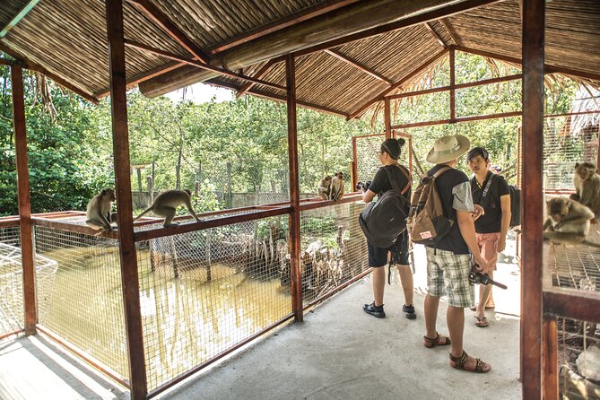 Private Can Gio Biosphere Reserve Day Trip from Ho Chi Minh City - Why Can Gio Works So Well as a Day Trip