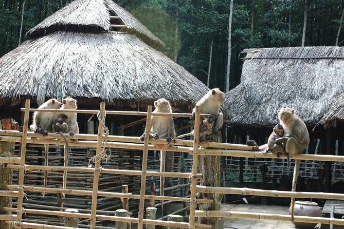 Private Can Gio Biosphere Reserve Day Trip from Ho Chi Minh City - Back on the Main Route: Soft Trek Through the Forest