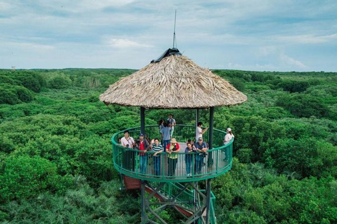Private Can Gio Mangrove Eco Tour – Boat & Wildlife - Monkey Island and the crocodile farm: animal time with a reality check