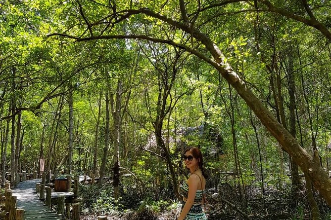 Private Can Gio Mangrove Eco Tour – Boat & Wildlife - Price and value: what $147 gets you for a private Can Gio tour