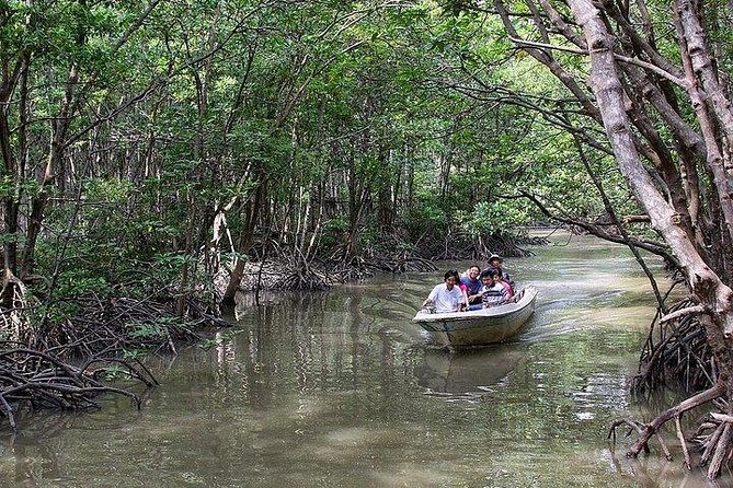 Private Can Gio Mangrove Eco Tour – Boat & Wildlife - Who this Can Gio mangrove eco tour suits best