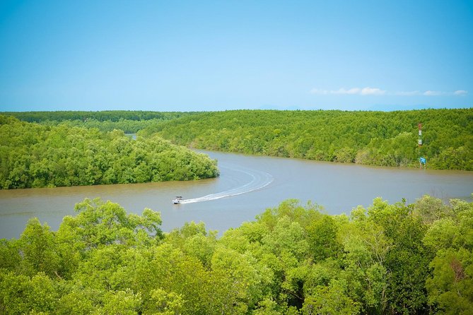 Private Can Gio Mangrove Eco Tour – Boat & Wildlife - UNESCO mangroves by speedboat and canoe: why you’ll feel the scale