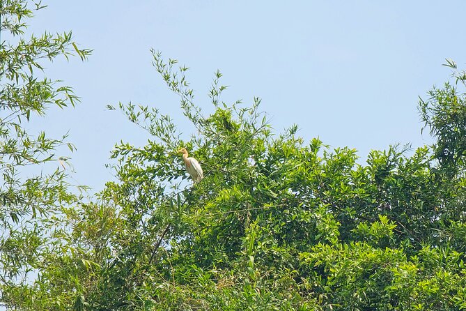 Private Full Day Mekong Delta Tour to Dong Thap Muoi Wetlands - Key highlights to look forward to
