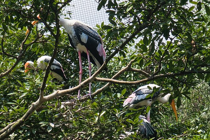 Private Full Day Mekong Delta Tour to Dong Thap Muoi Wetlands - Price and logistics: is $128 per person worth it?