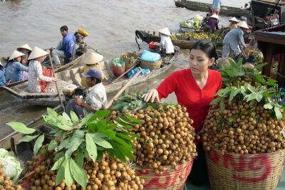 PRIVATE LUXURY Mekong Delta full day from HCM city - The ride to My Tho: rural river scenes before you reach the boats