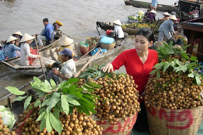 PRIVATE LUXURY Mekong Delta full day from HCM city - The ride to My Tho: rural river scenes before you reach the boats
