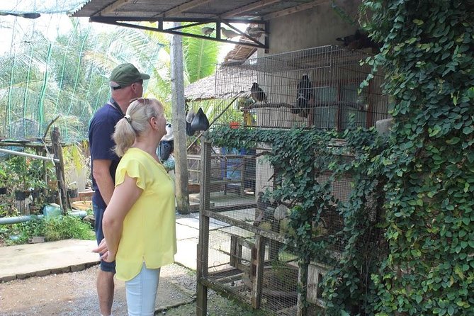 Private Mekong Delta 1 day - Don Ca Tai Tu and the Mangrove Row Boat Ride