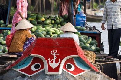 Private Tour Mekong Delta Day Trip from Ho Chi Minh City - Getting from Ho Chi Minh City to My Tho: early start, air-conditioned comfort