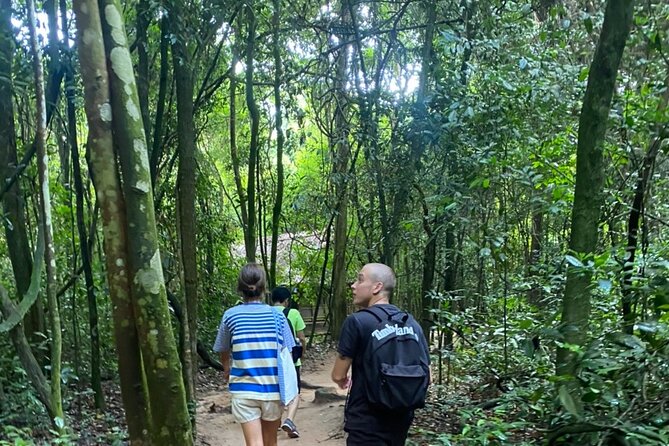 Private VIP Cu Chi Tunnels Tour by Car, No Crowds - The ride out of Ho Chi Minh City: rural views and real breathing room