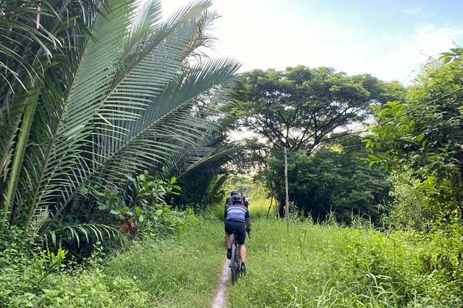 Saigon Countryside Cycling Adventure - From Ho Chi Minh City to Long An Province, without the hassle