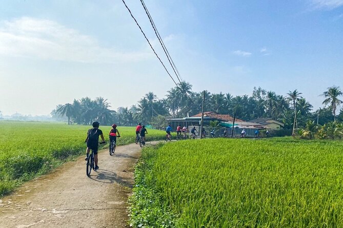 Saigon Countryside Cycling Adventure - The market-and-village rhythm that makes the day feel easy
