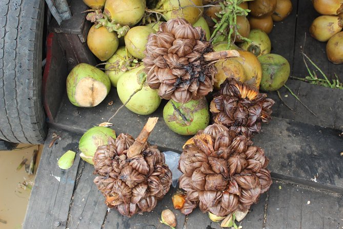 Small Group To Mekong Delta 1 Day - The Rowboat Through Mangrove Palm Canals: Slow Views You Can Feel