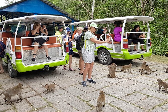 VIP Tour in Vam Sat: Can Gio Mangrove Forest by SpeedBoat - Inside Can Gio: Wetlands, Mangroves, and Wildlife You Can Actually Aim For
