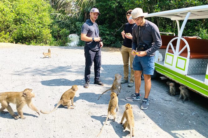 VIP Tour in Vam Sat: Can Gio Mangrove Forest by SpeedBoat - Price and Value: What $350 Really Covers
